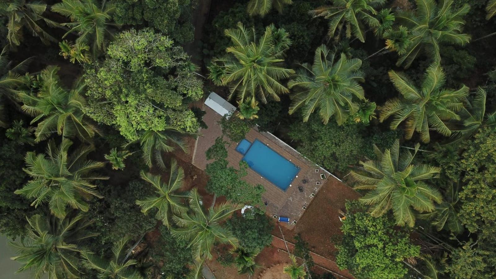 Paddyfield Inn Mananthavady Exterior photo